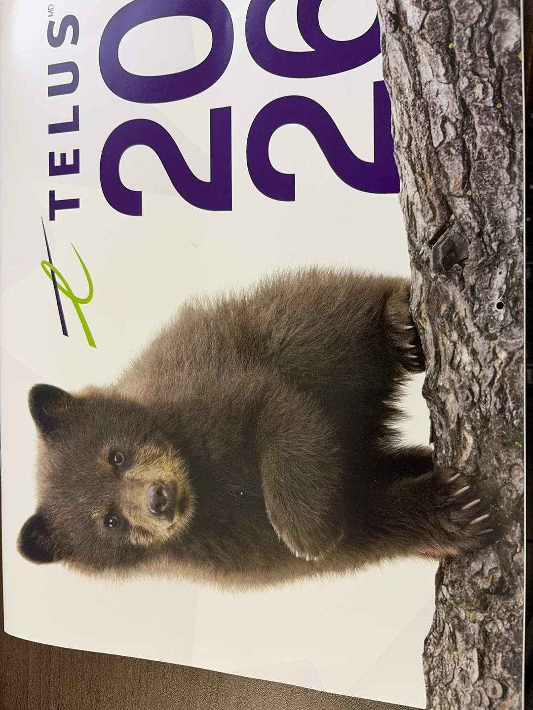 2026 TELUS Calendar French
