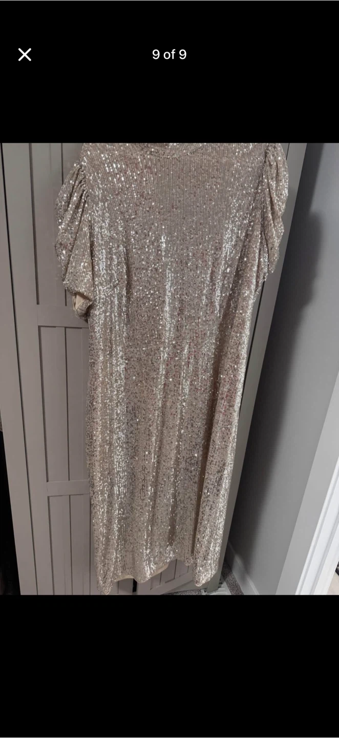 Alex Evenings Sequin Dress Size 18