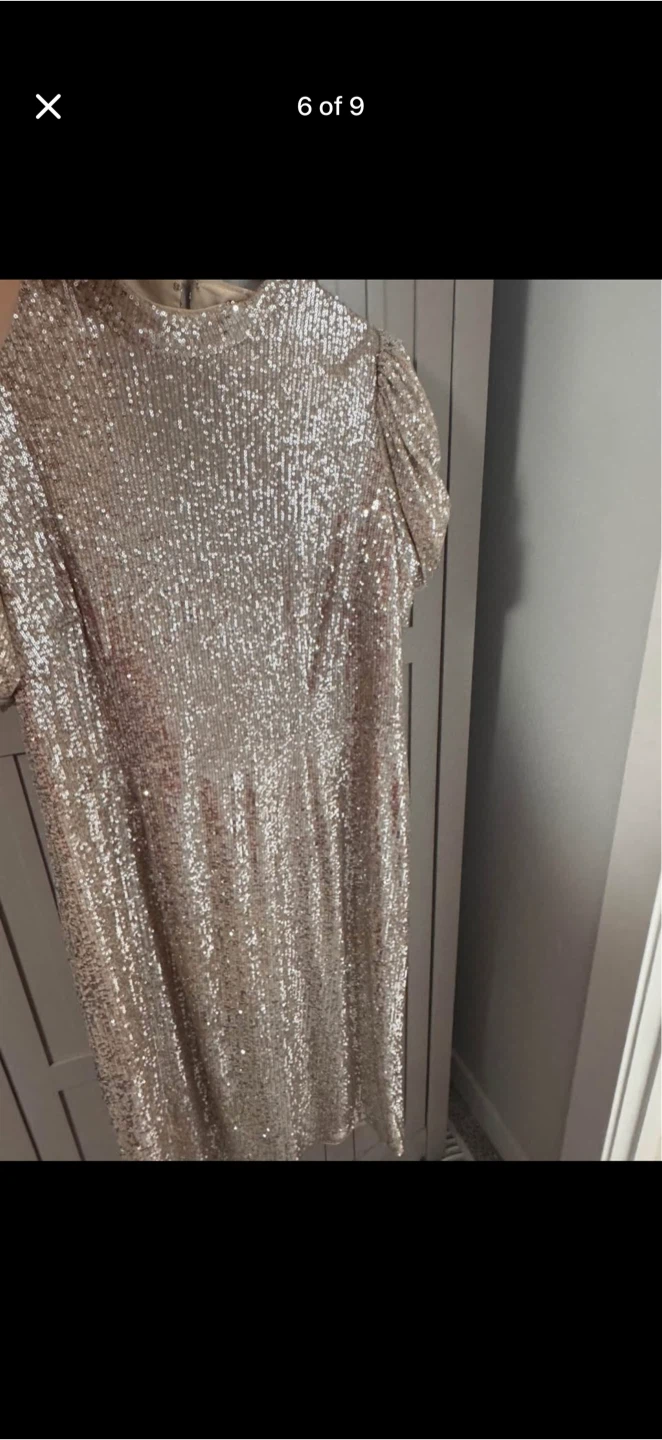 Alex Evenings Sequin Dress Size 18 - photo 3