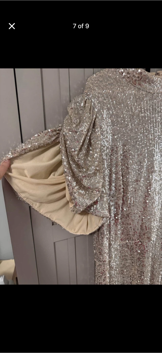 Alex Evenings Sequin Dress Size 18 - photo 4