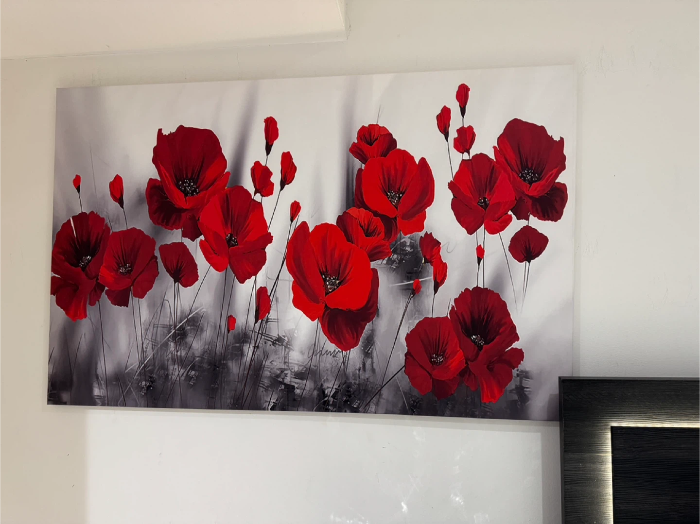 Canvas Wall Art Print - Red Poppies & Feathers Collection