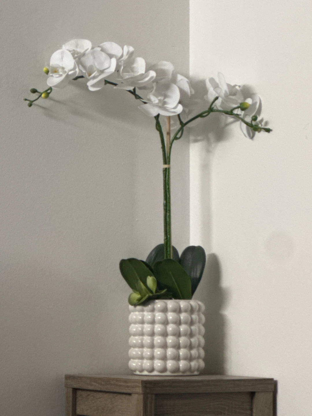 White Artificial Orchid Plant in Textured Pot