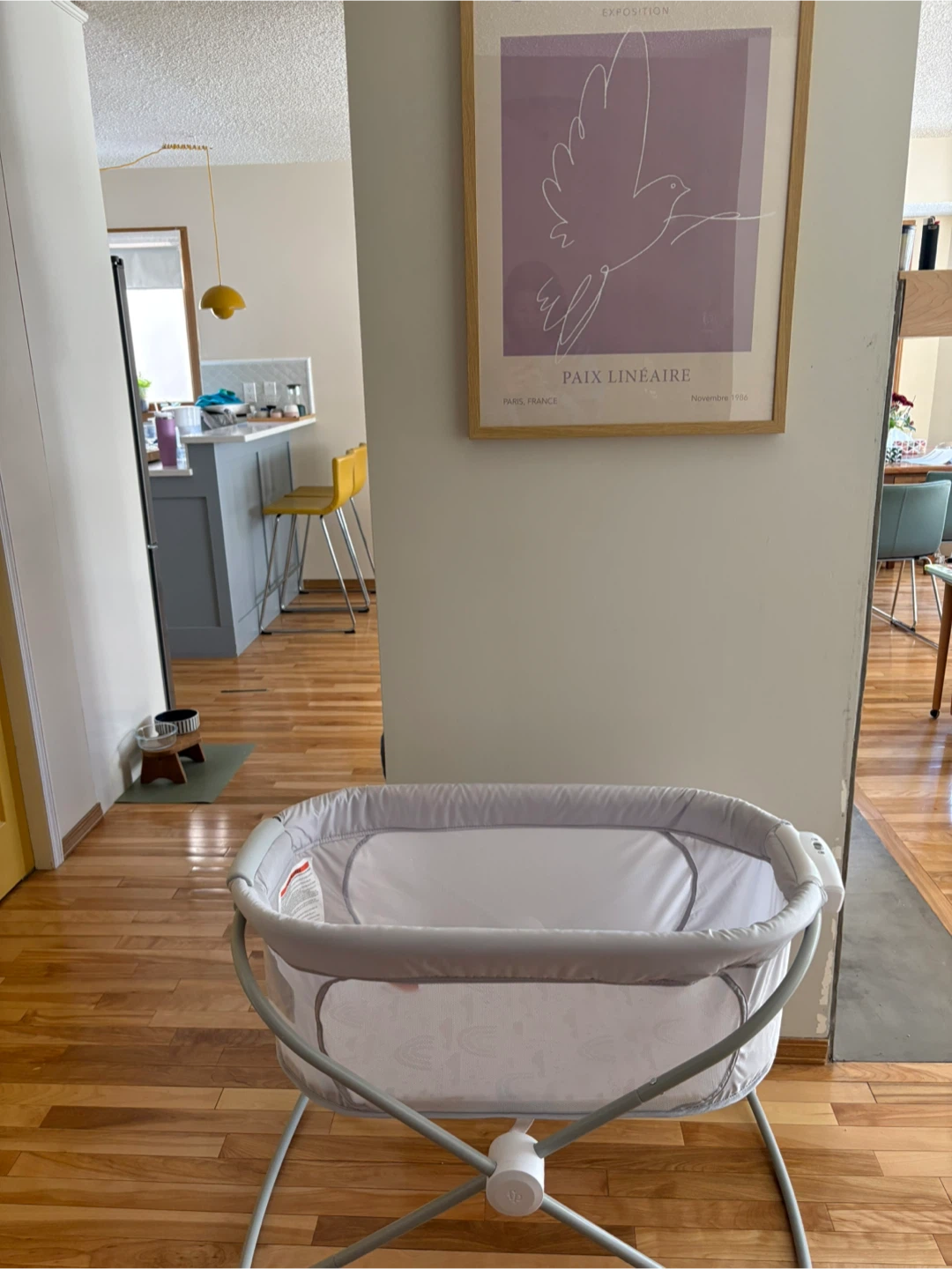 Bassinet portable soothing view fisher price - photo 4