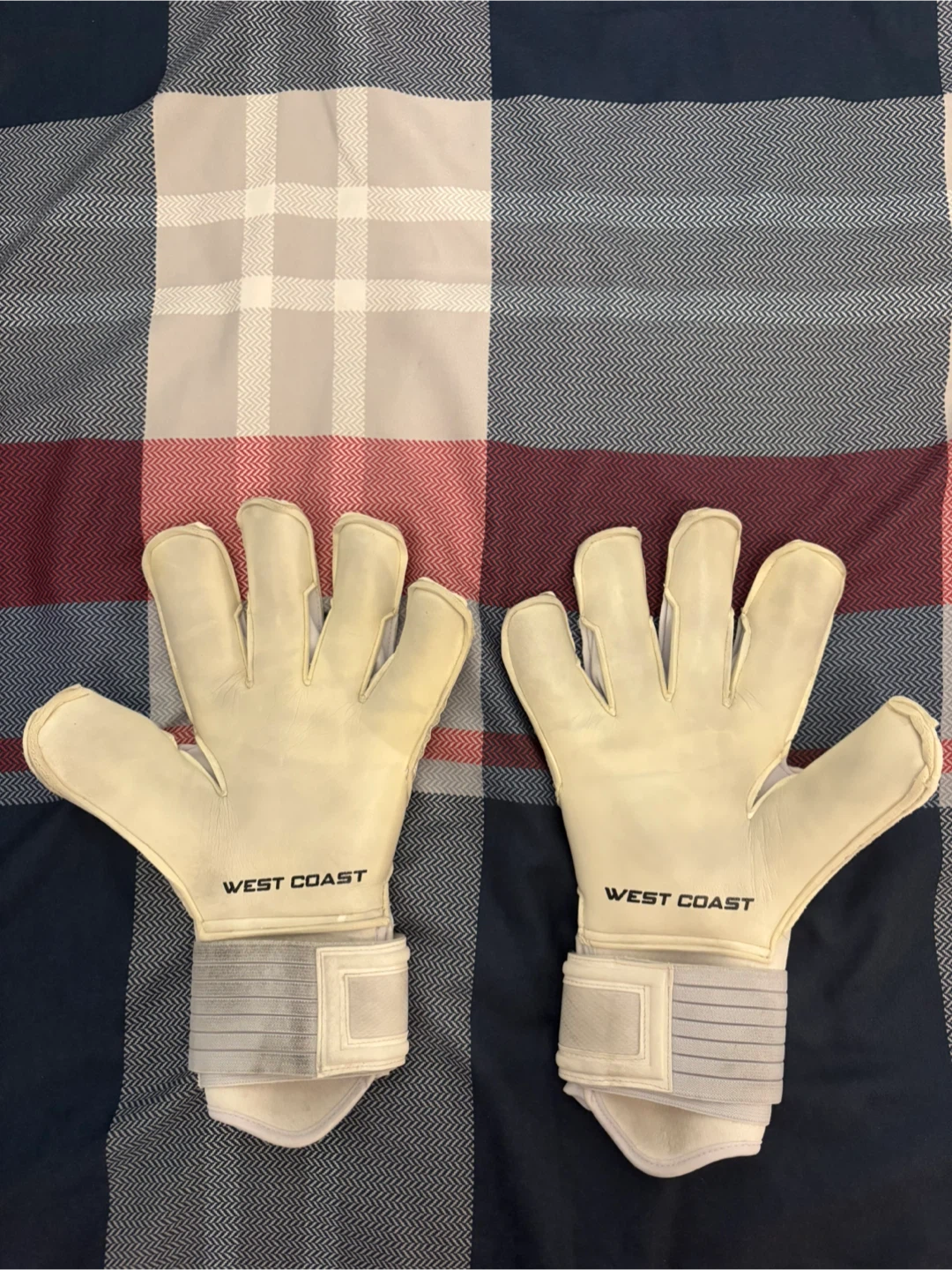 WEST COAST ION CAPRA Goalie Gloves