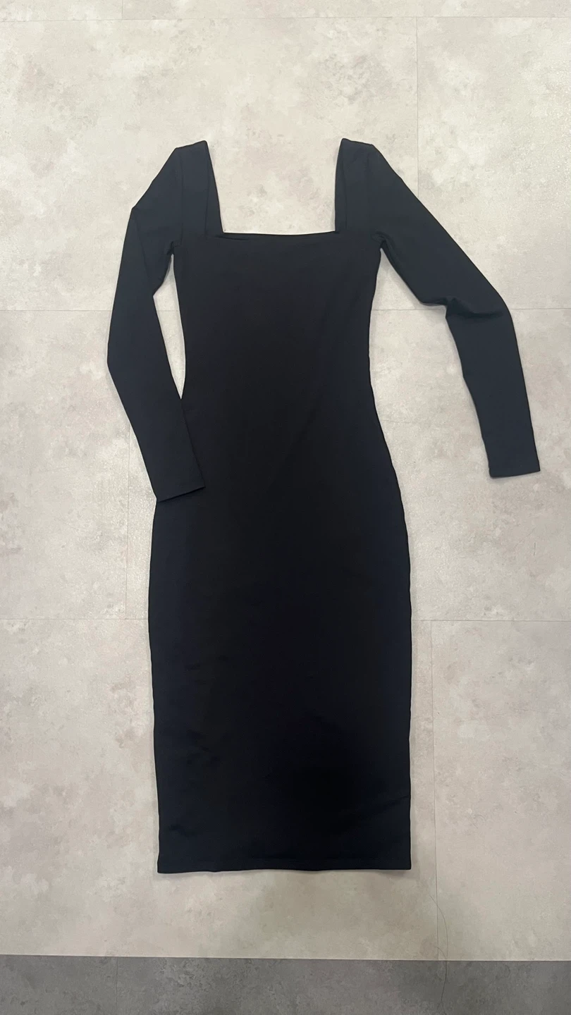 Aritzia Babaton Dress