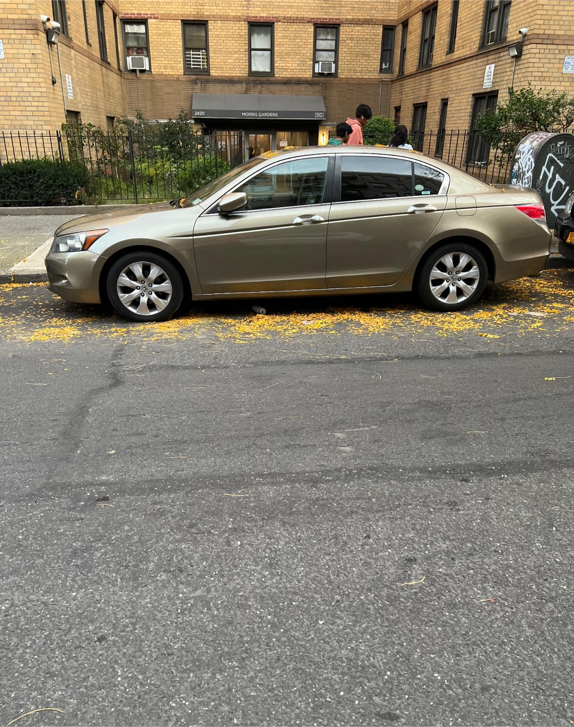 Gold Honda Accord Sedan
