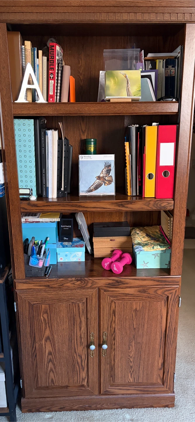 Wooden Bookcase with Storage Cabinet
