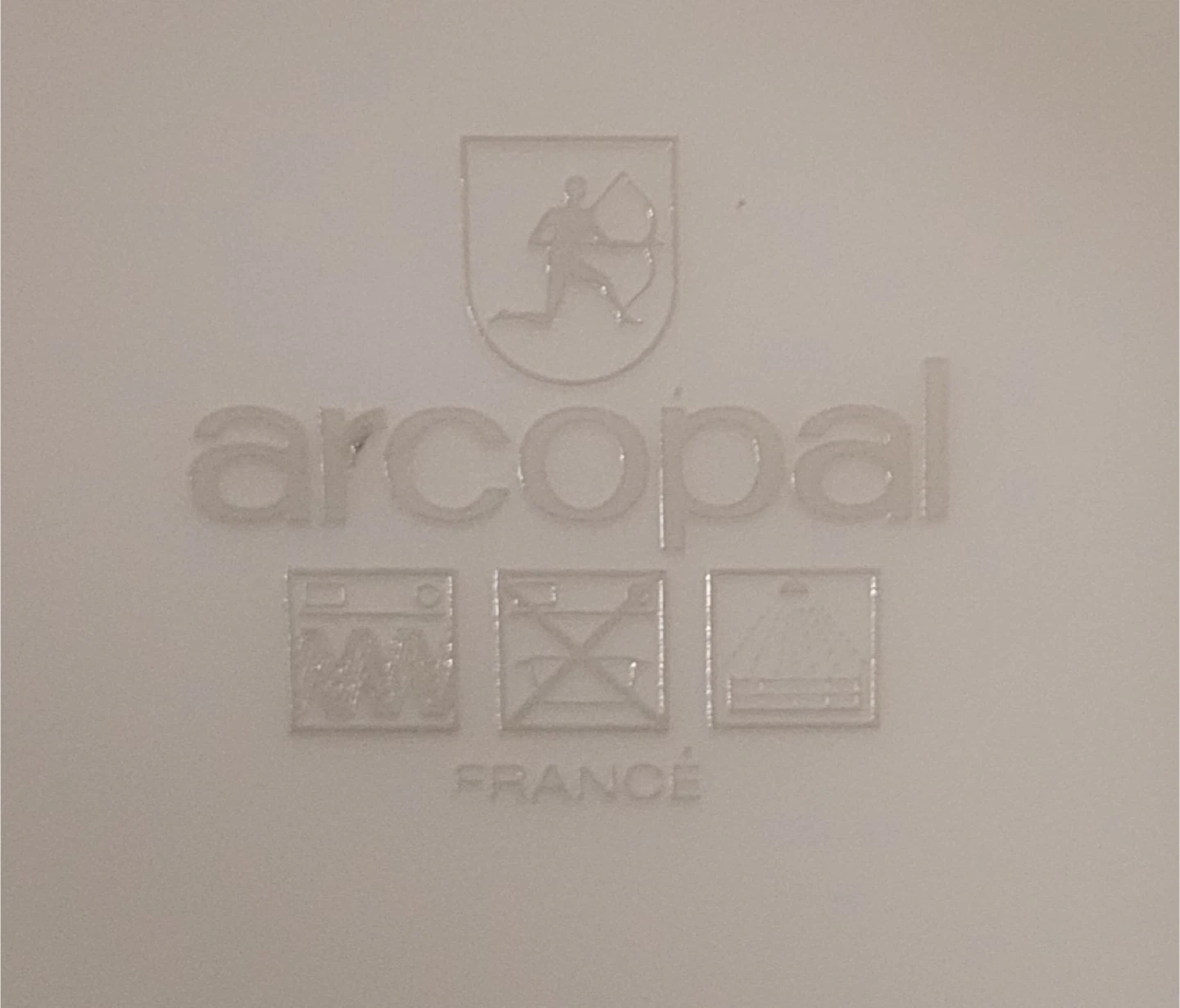 Arcopal Plates - Set of 6 Extra Large Dinner Plates - photo 3