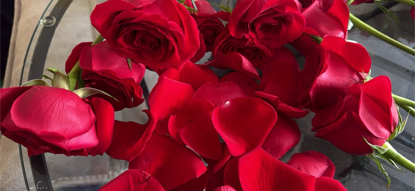 Rose petals