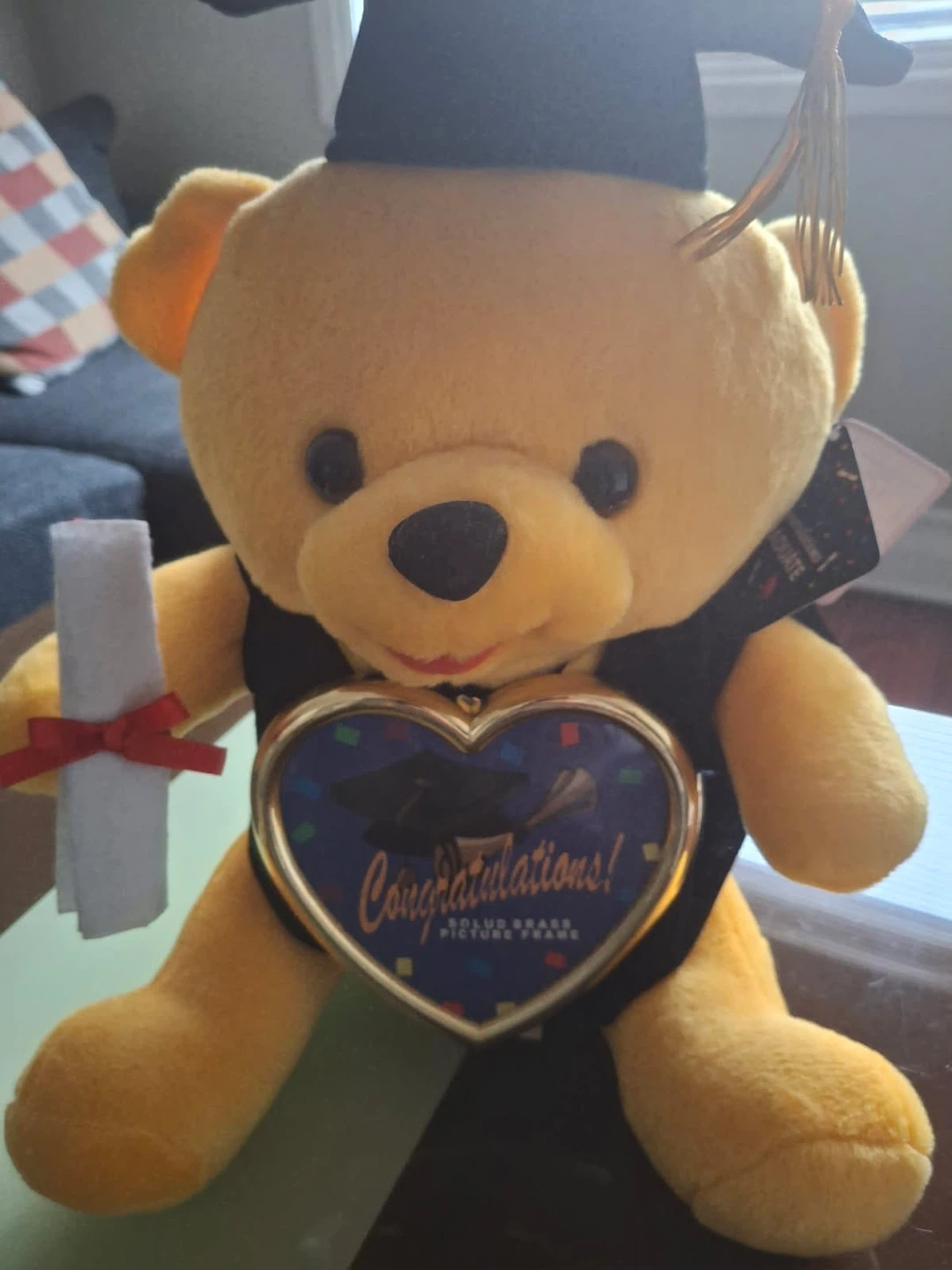 Graduation Teddy Bear with Picture Frame