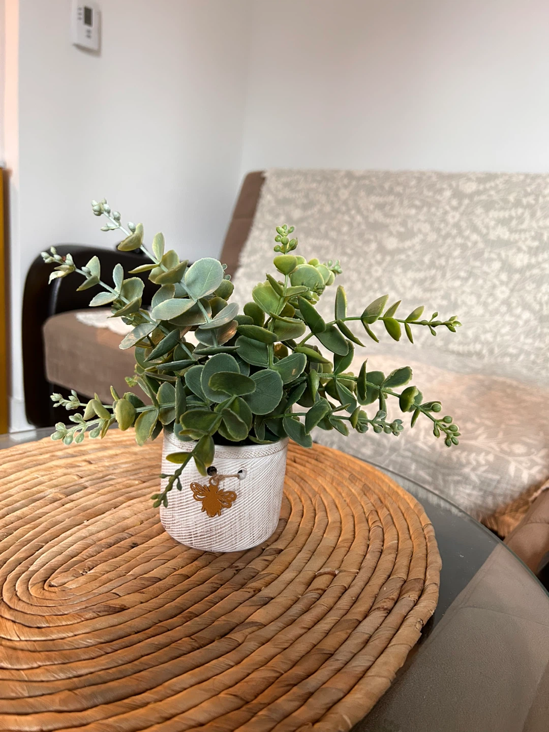 Artificial Eucalyptus Plant in Decorative Pot