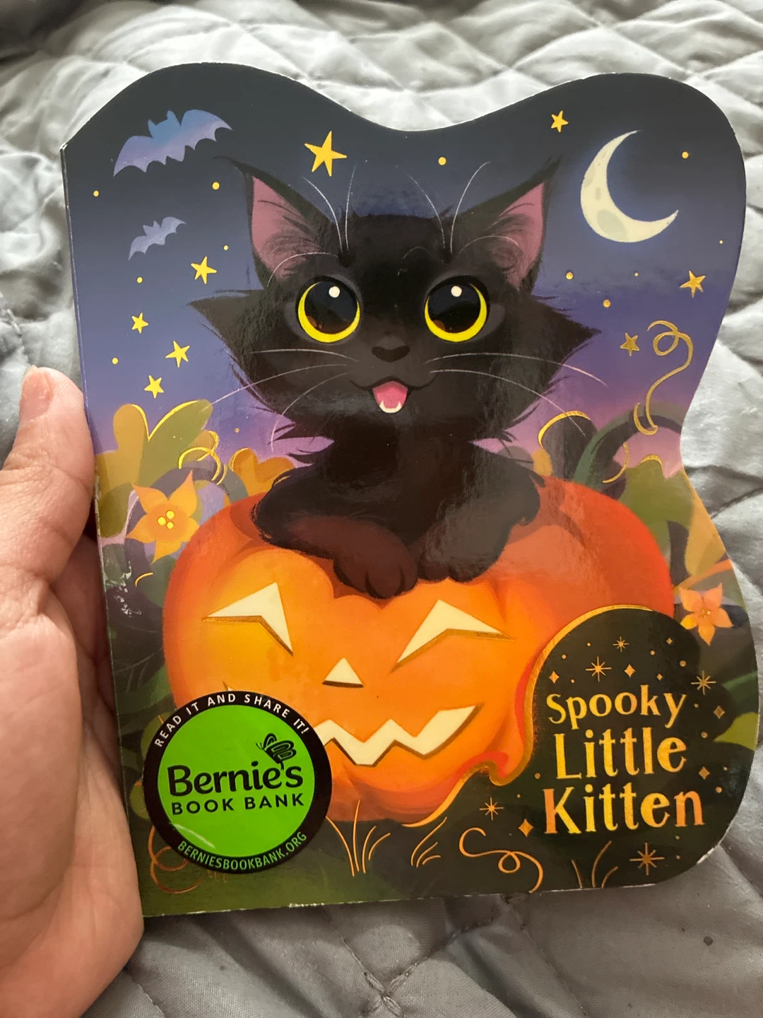 Spooky Little Kitten Board Book