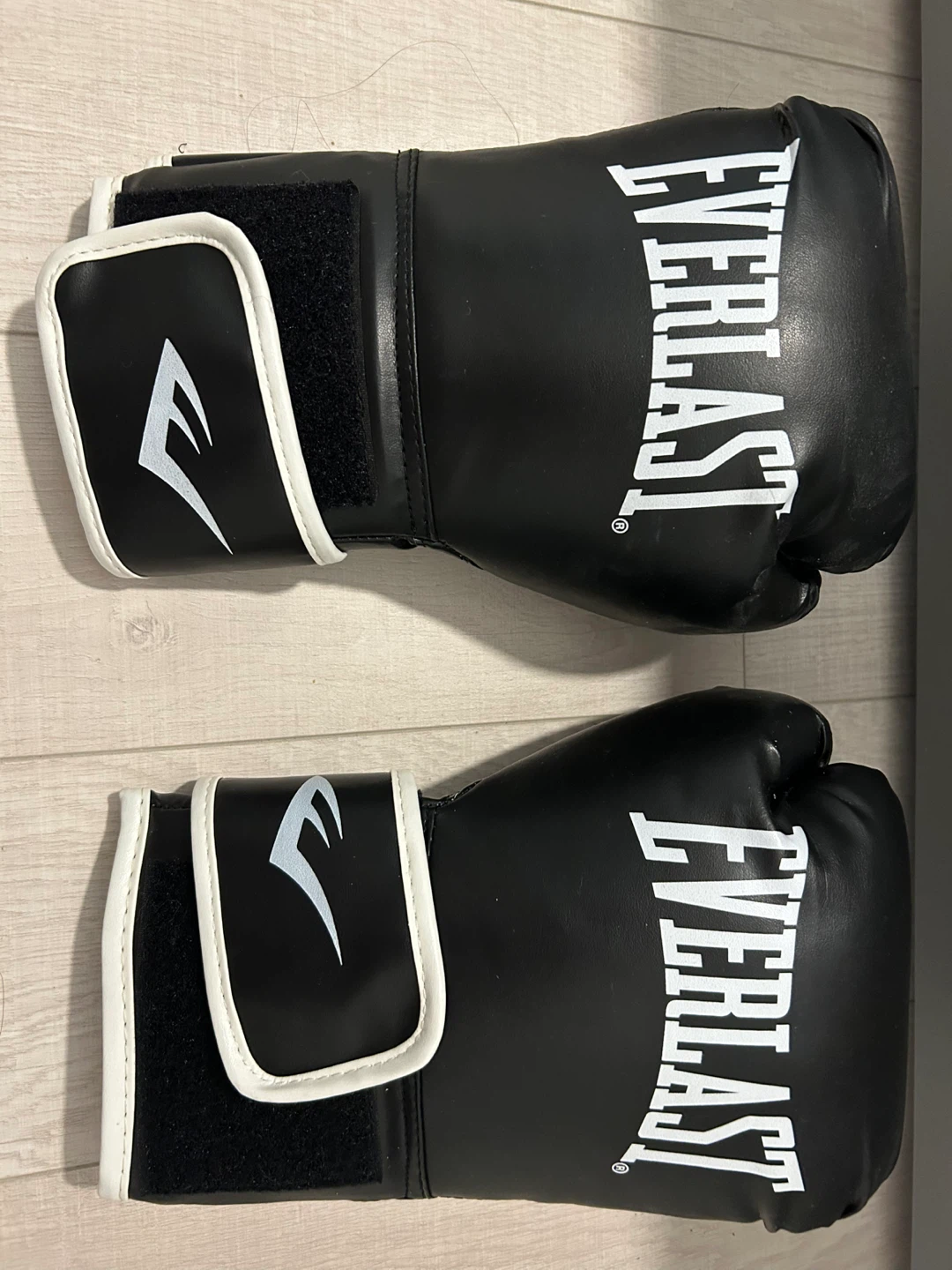 Everlast Boxing Gloves