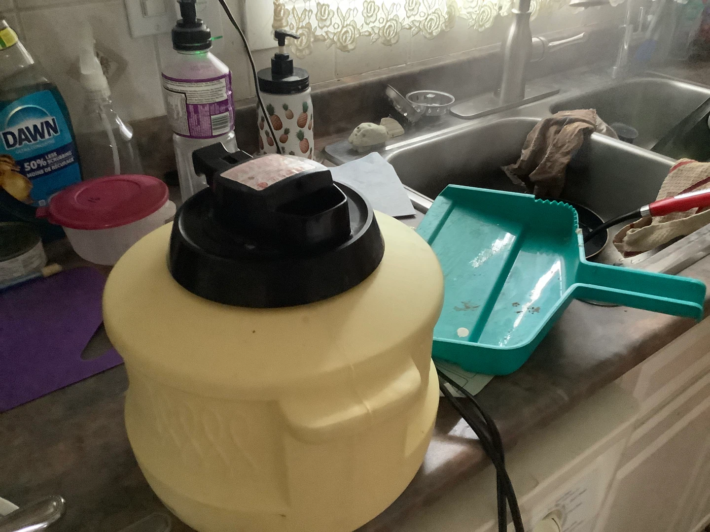 Devilbiss Steam Vaporizer Model 131 - photo 4