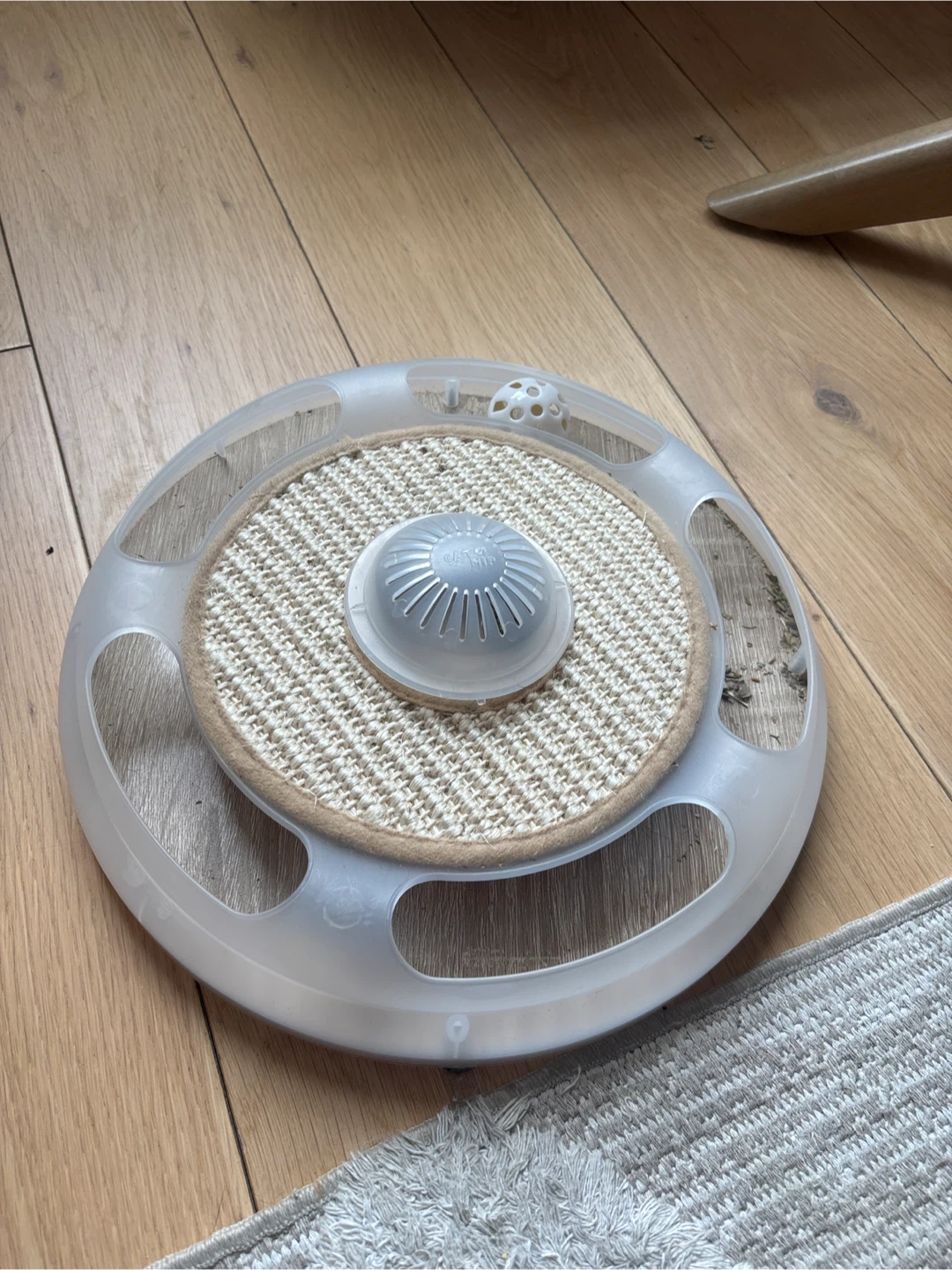 Cat Toy with Ball