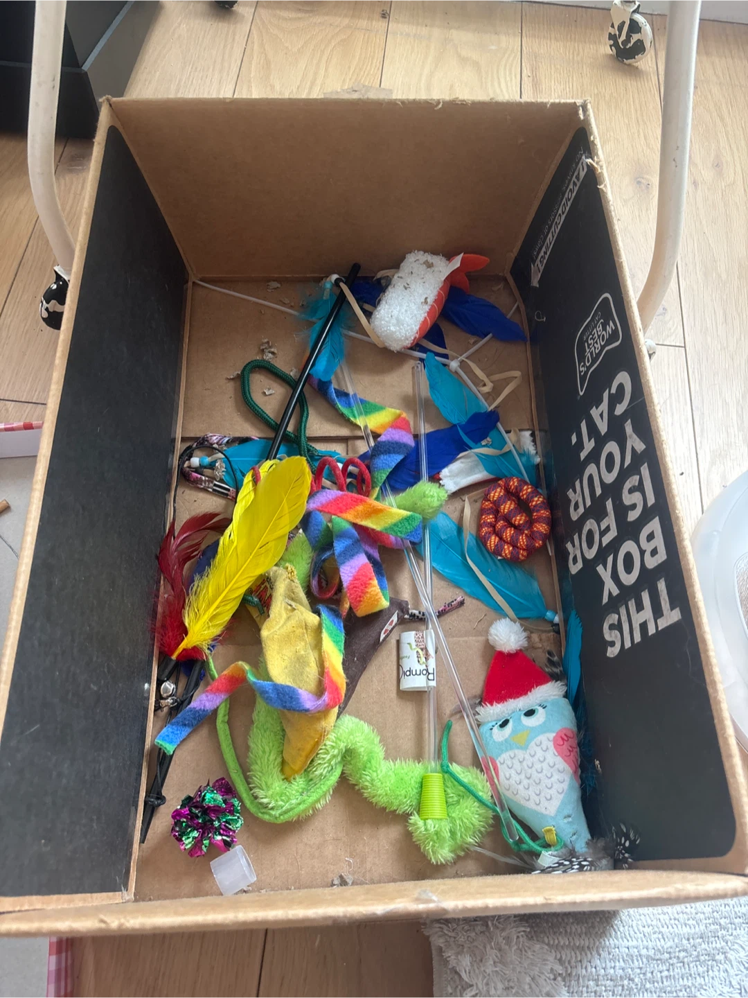 Assorted Cat Toys in Cardboard Box