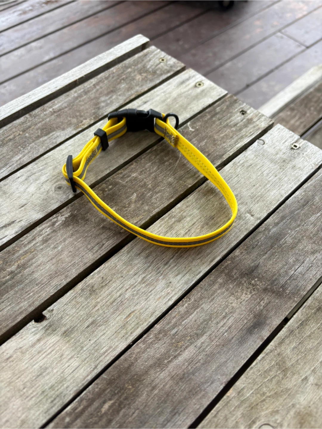 Yellow puppy Collar with Reflective Stripe
