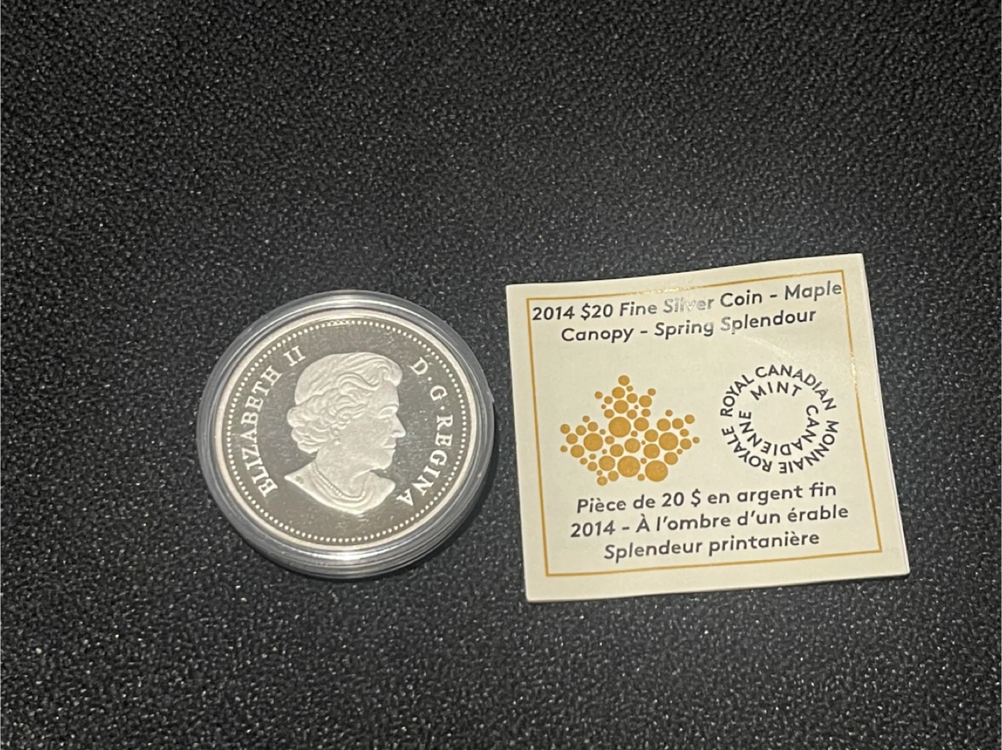 2014 $20 Fine Silver Coin - Maple Canopy - Spring Splendour - photo 2