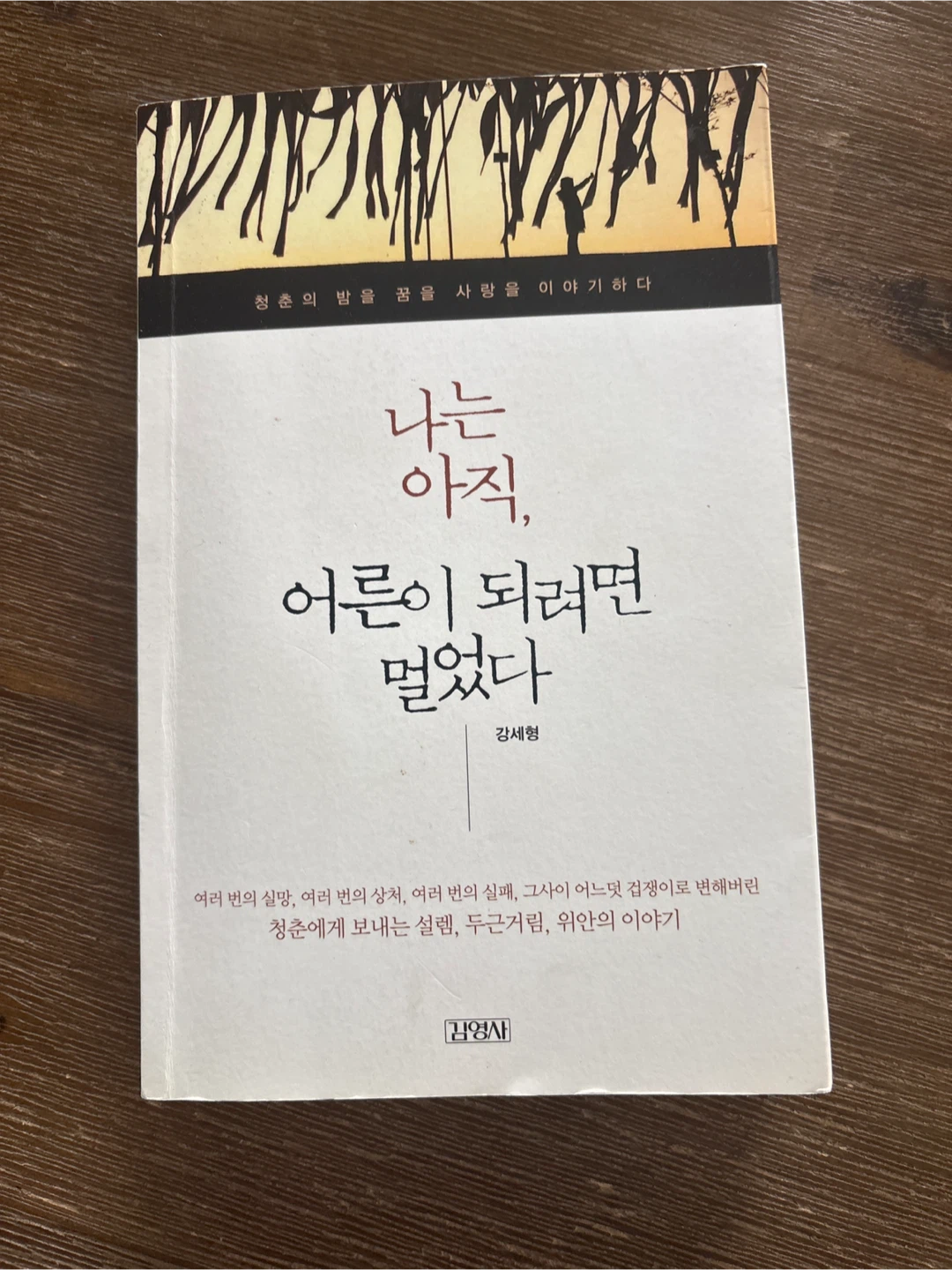 나는 아직 어른이 되려면 멀었다 Book