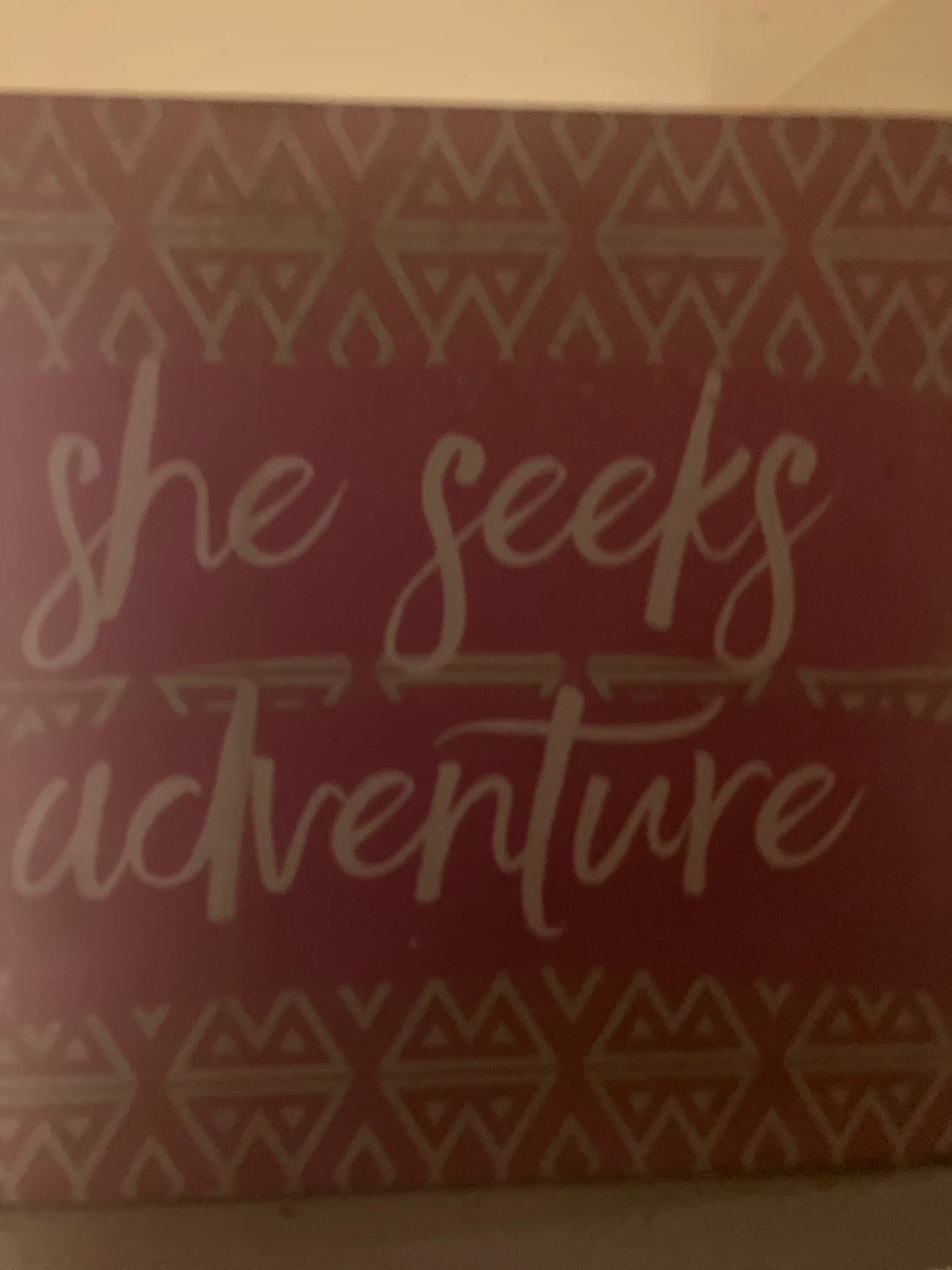 She Seeks Adventure Wall Art