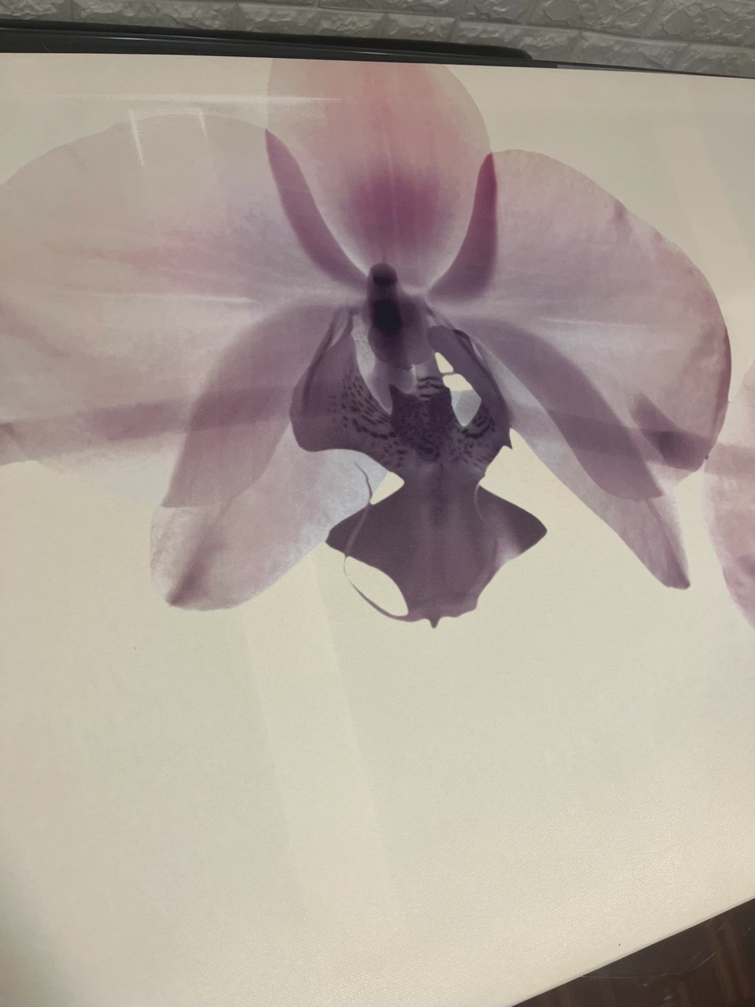 IKEA PJÄTTERYD Orchid Wall Art 140x55 cm - photo 4