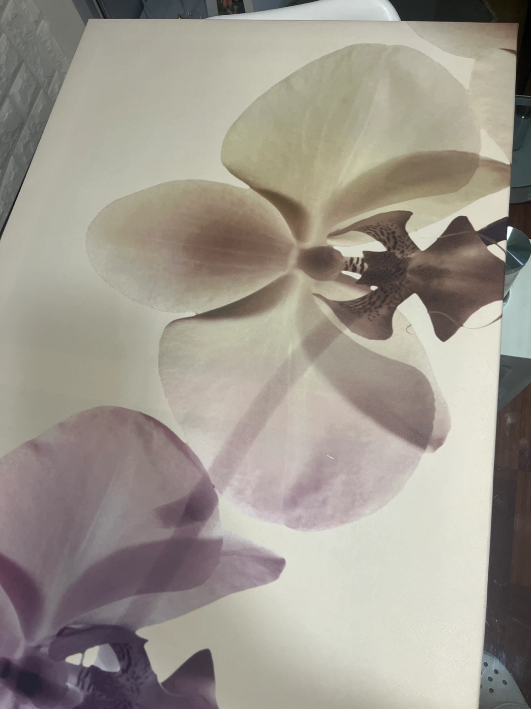 IKEA PJÄTTERYD Orchid Wall Art 140x55 cm - photo 5