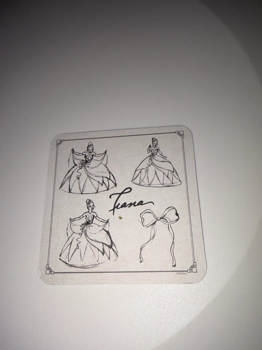 Disney Moana and Tiana coaster