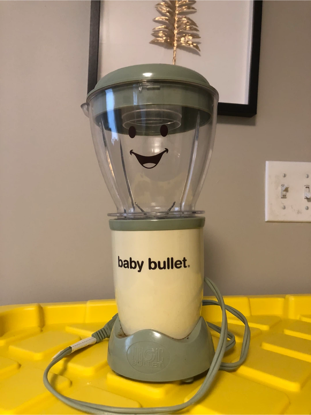 Baby Bullet Blender #freecycle