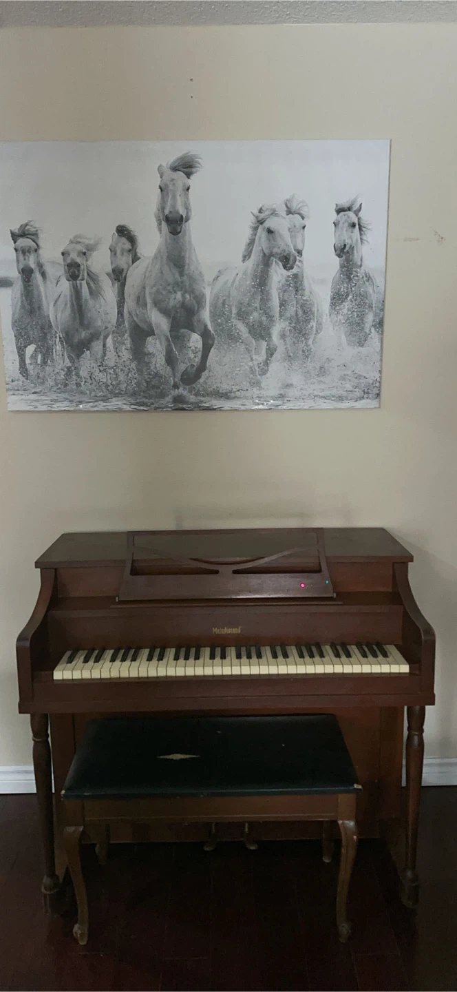 Melodigrand Upright Piano - photo 3