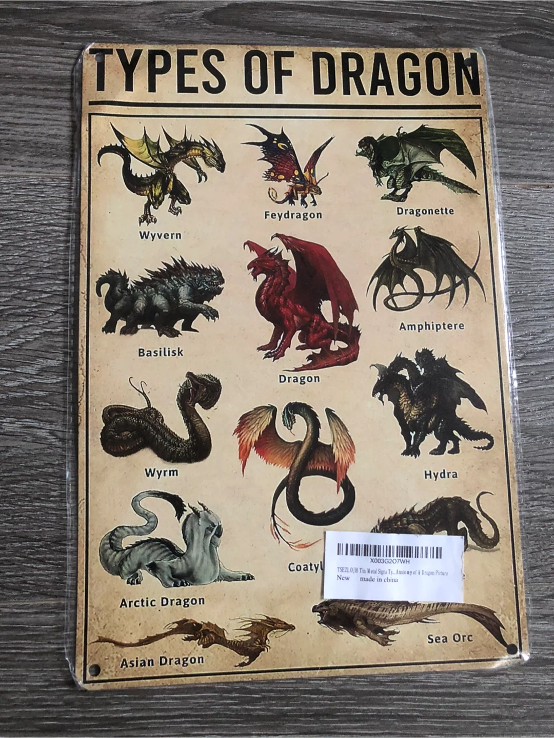 Types of Dragon Metal Sign