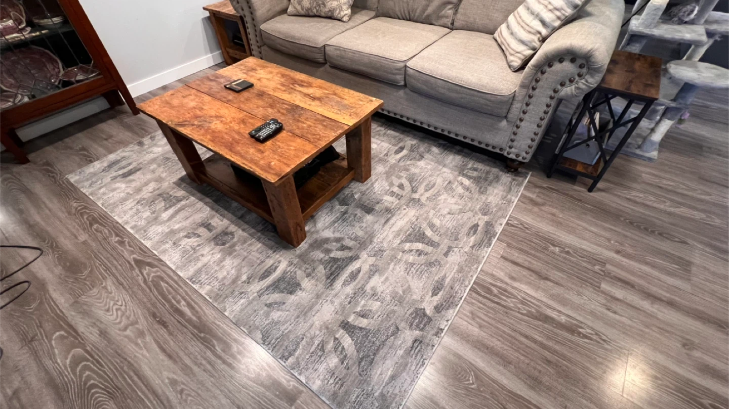 Gently used area rug.