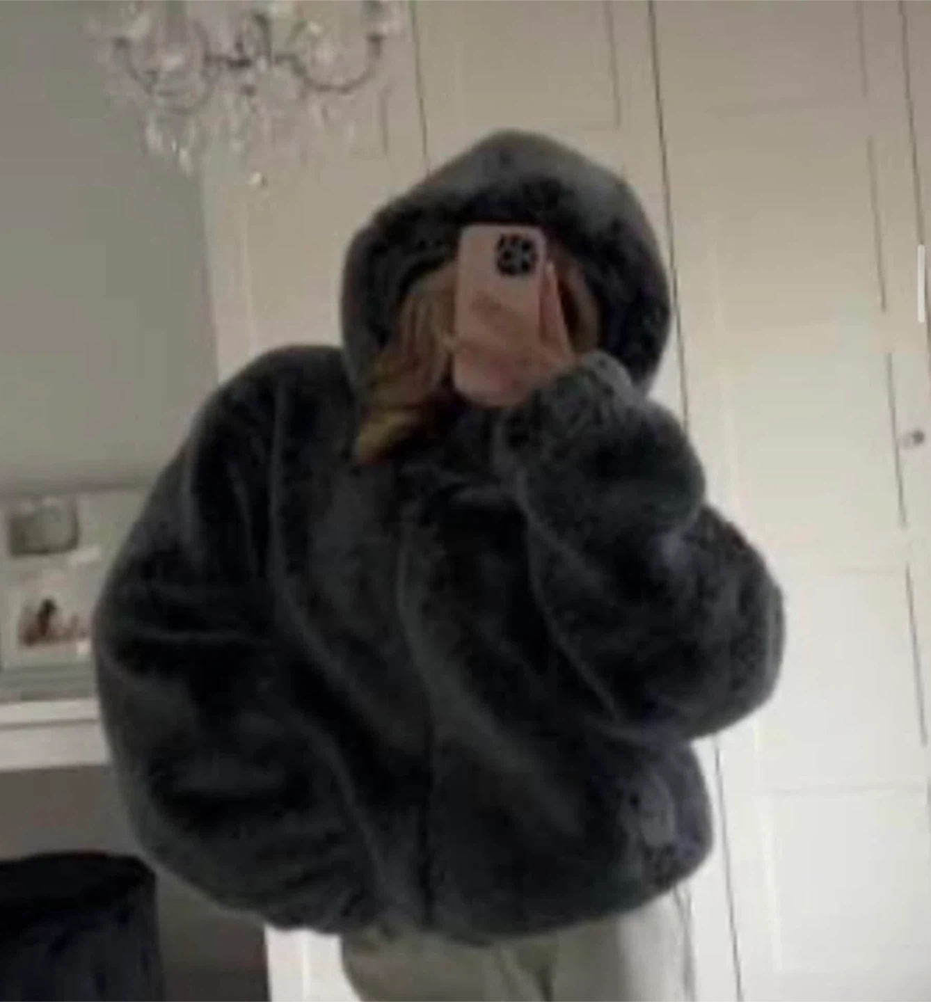 Zara Faux Fur Hooded Jacket - brown