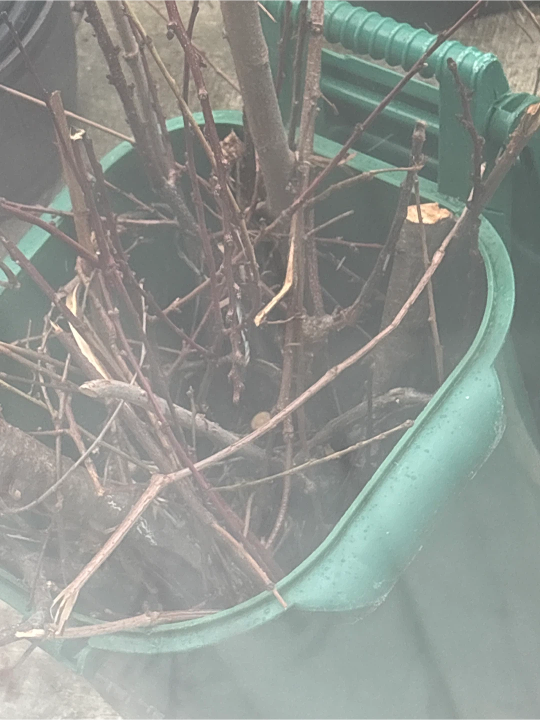 Wood for only 5$ - photo 2