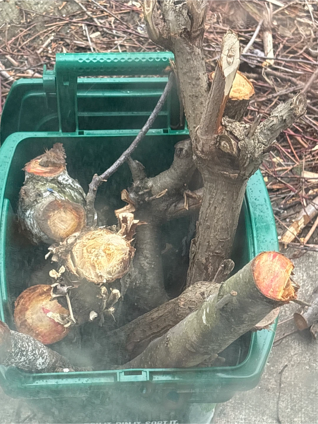 Wood for only 5$
