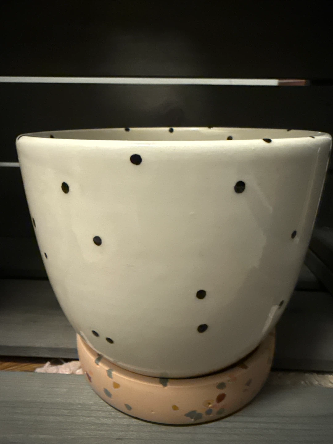 White Ceramic Polka Dot Planter Pot with Saucer