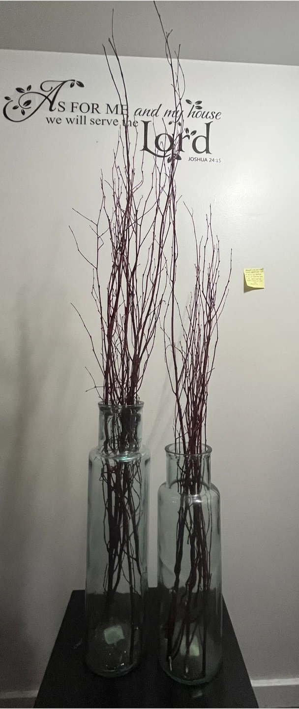 Decorative Branches in Glass Vases Set - photo 3