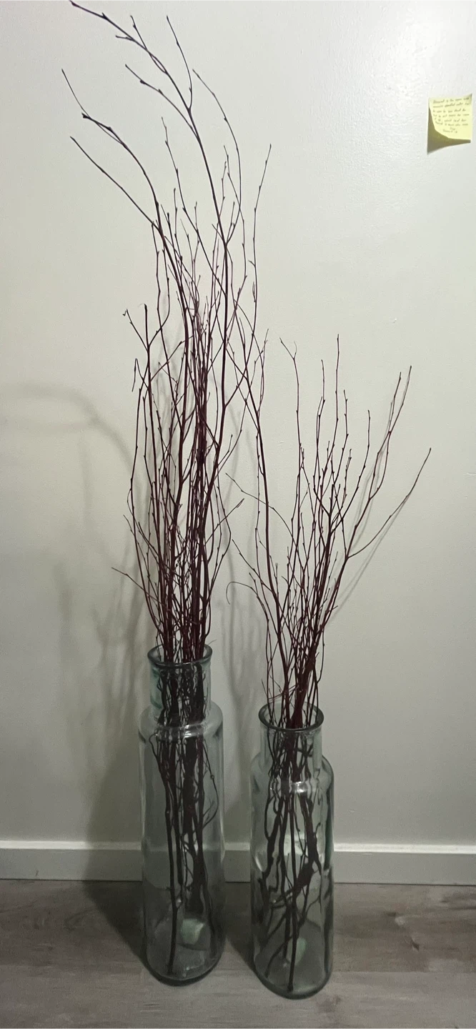 Decorative Branches in Glass Vases Set - photo 2