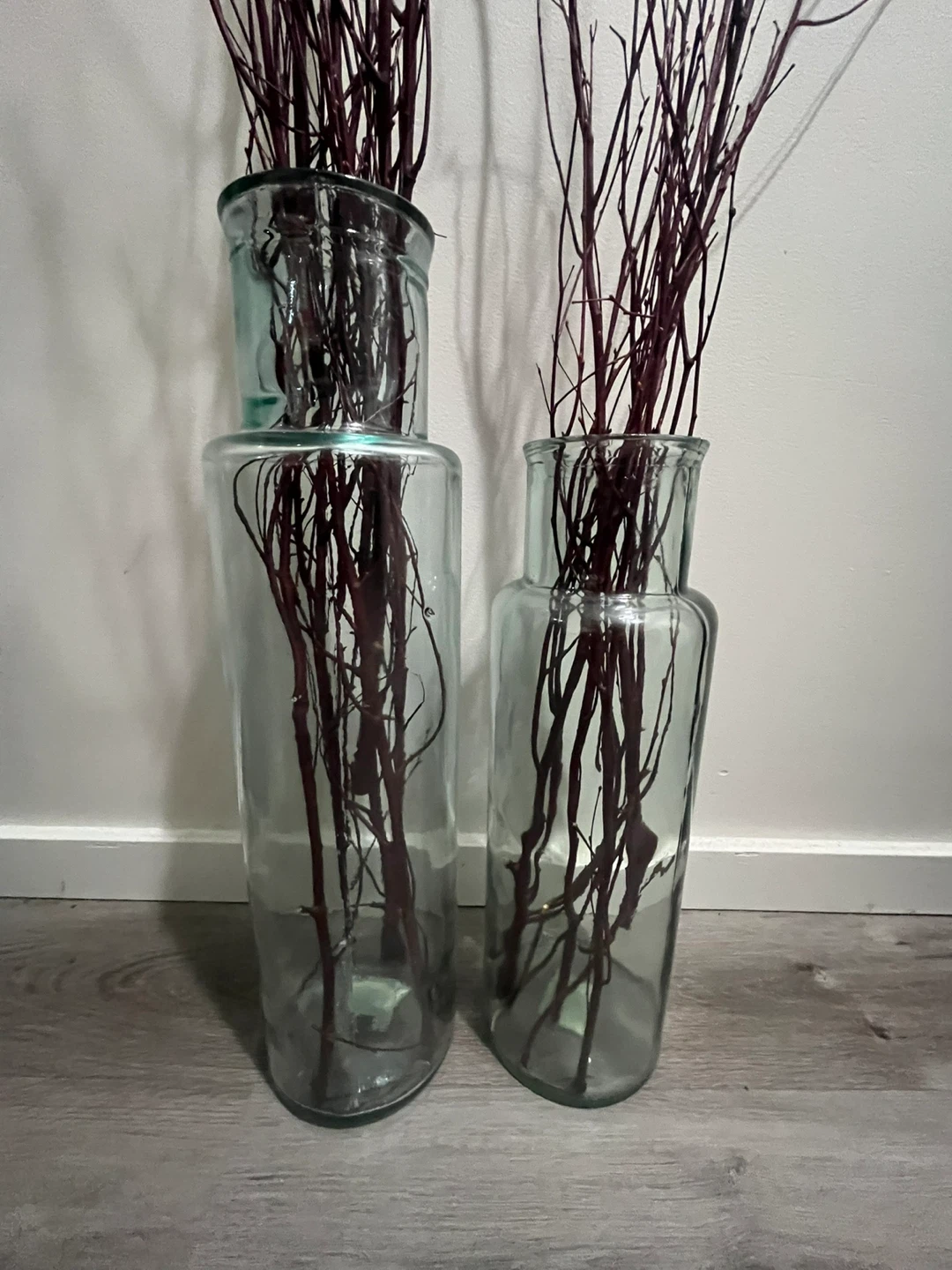 Decorative Branches in Glass Vases Set