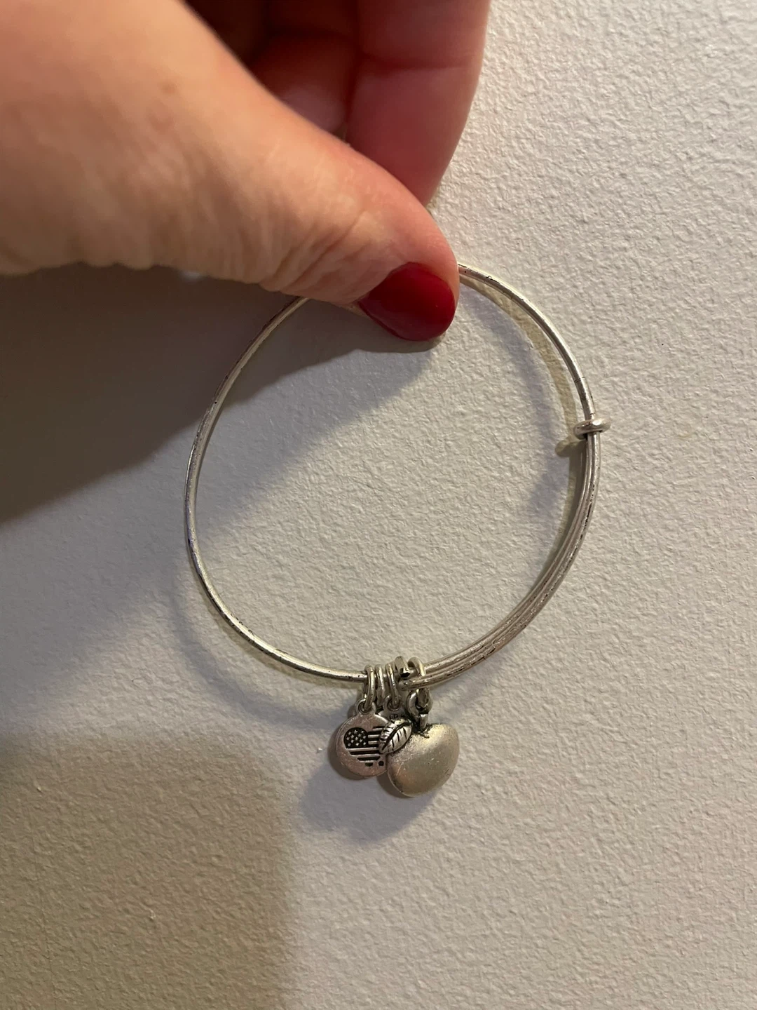 Alex and Ani Charm Bangle Bracelet