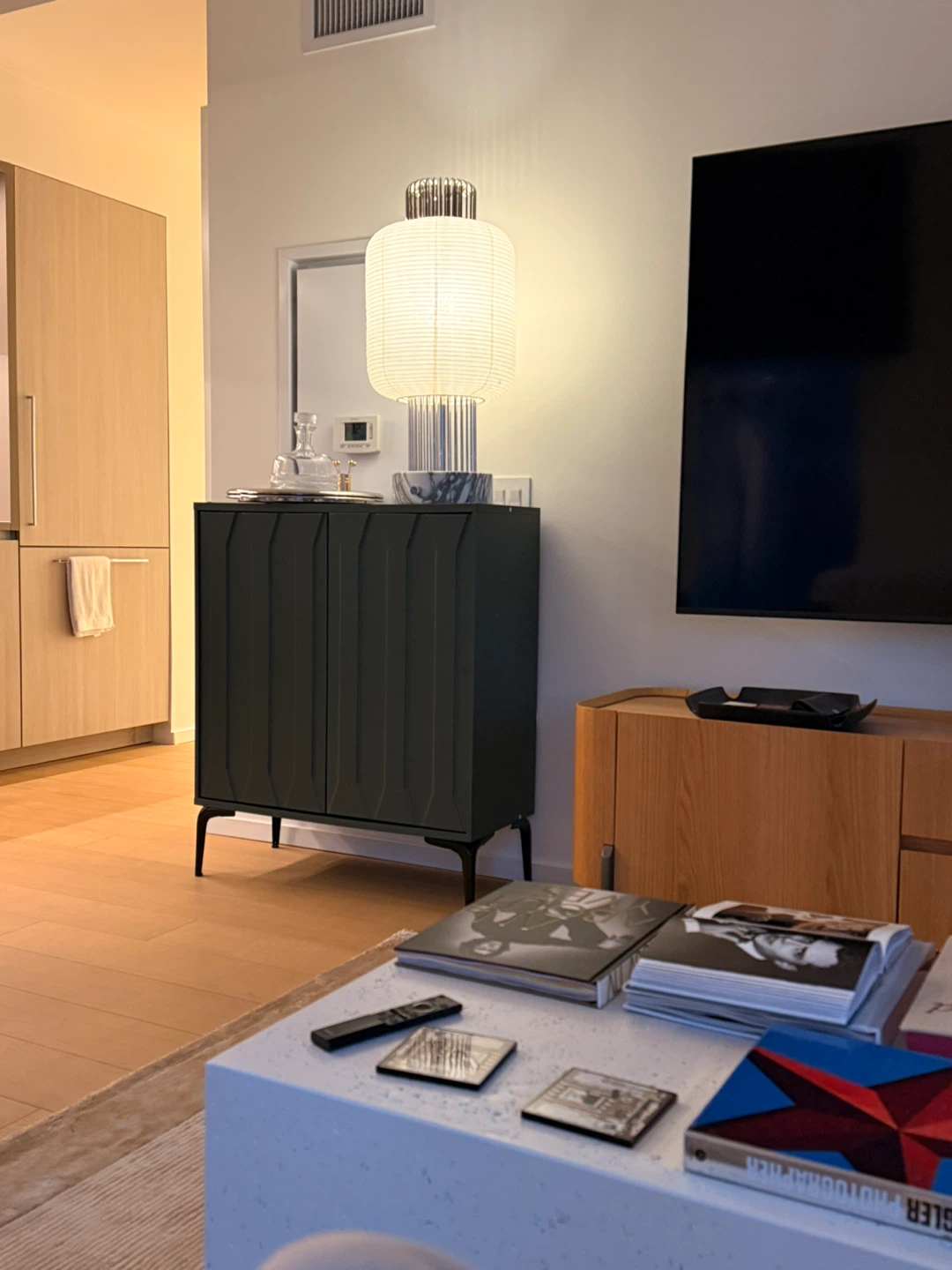 Modern Accent Cabinet with shelve