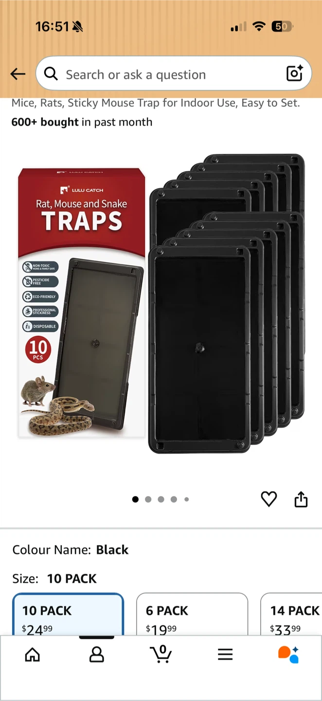 Lulu catch mouse trap 10pcs - photo 2