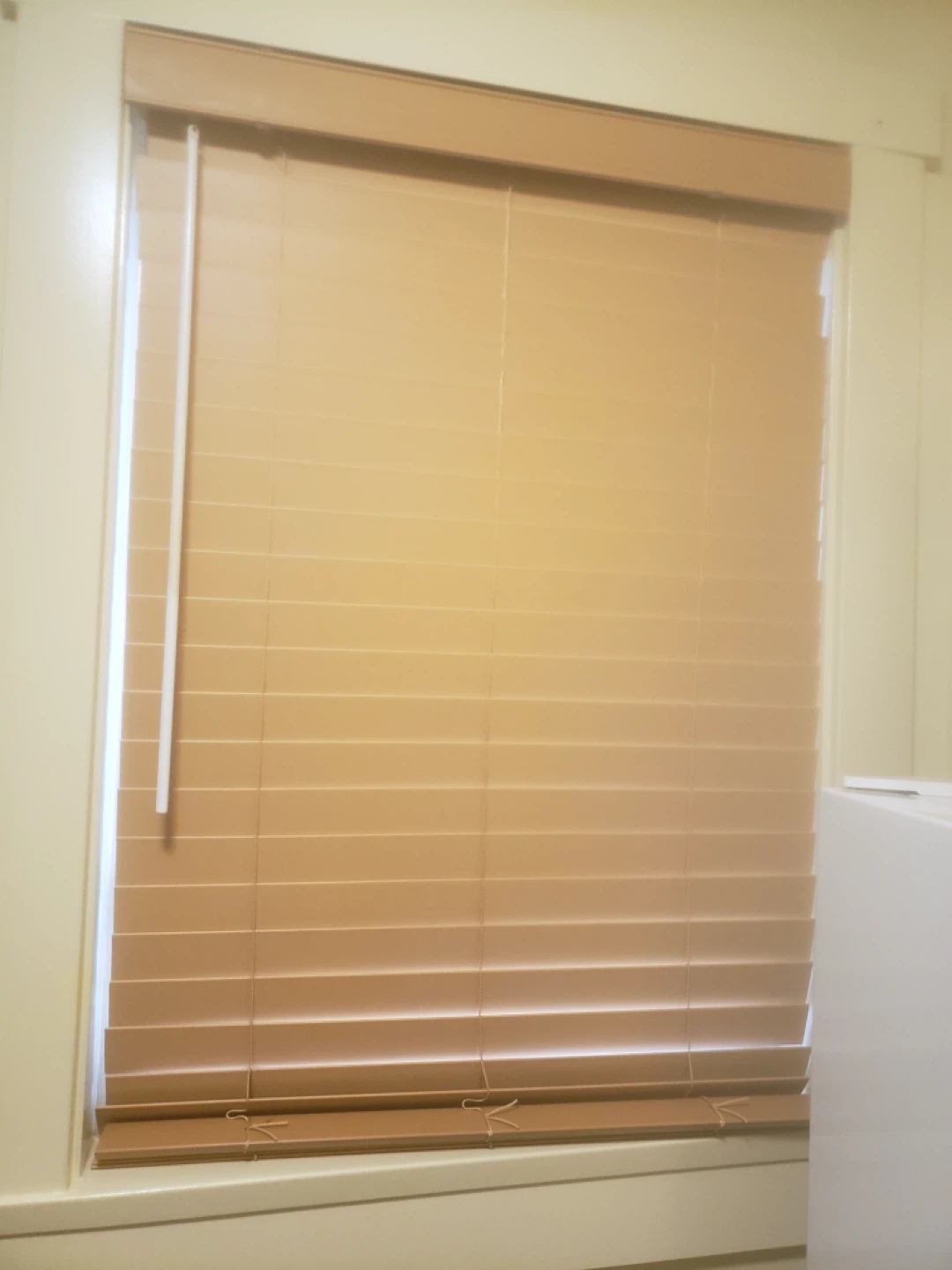 Light Brown Horizontal Blinds - photo 2