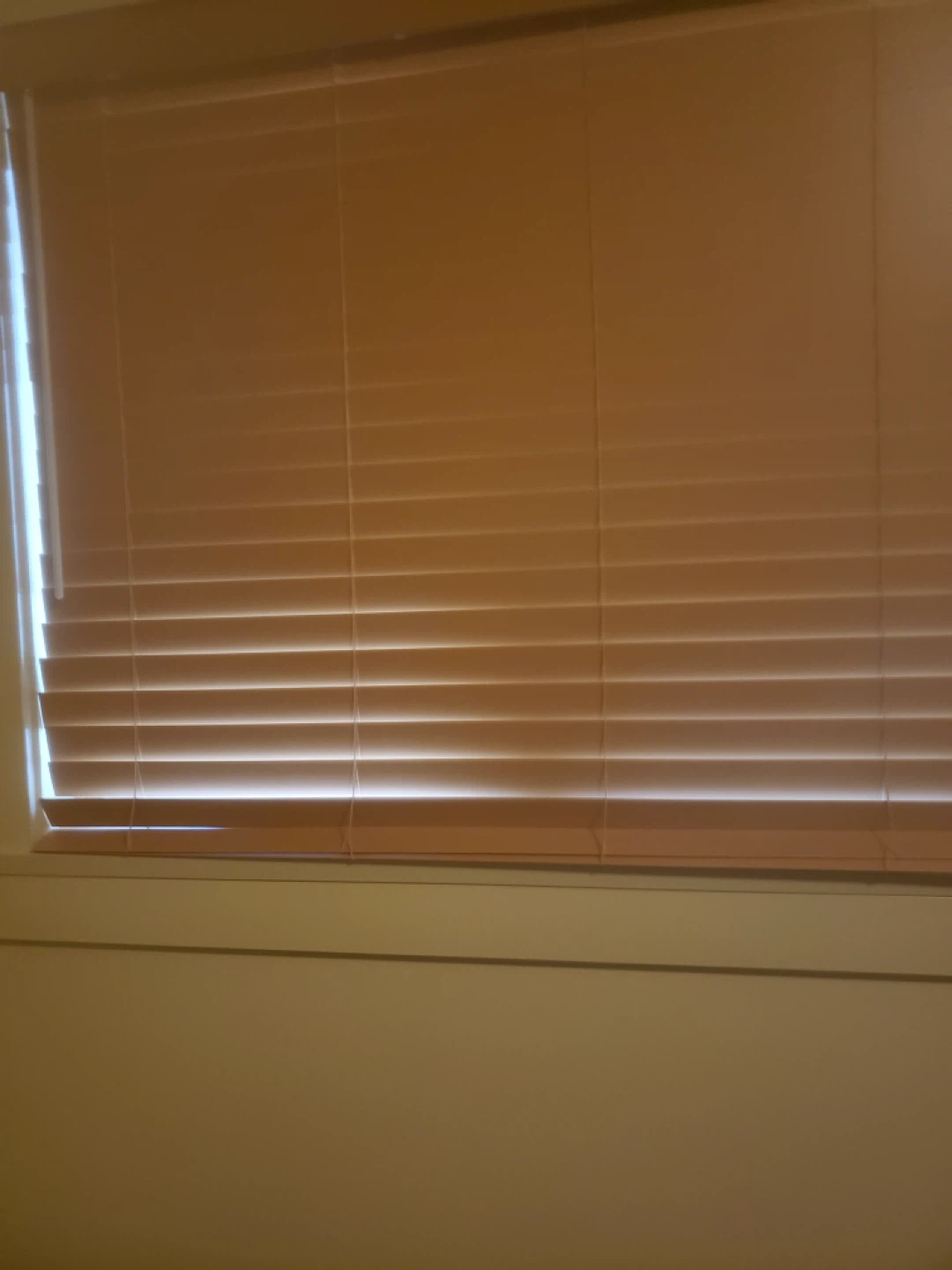 Light Brown Horizontal Blinds - photo 3