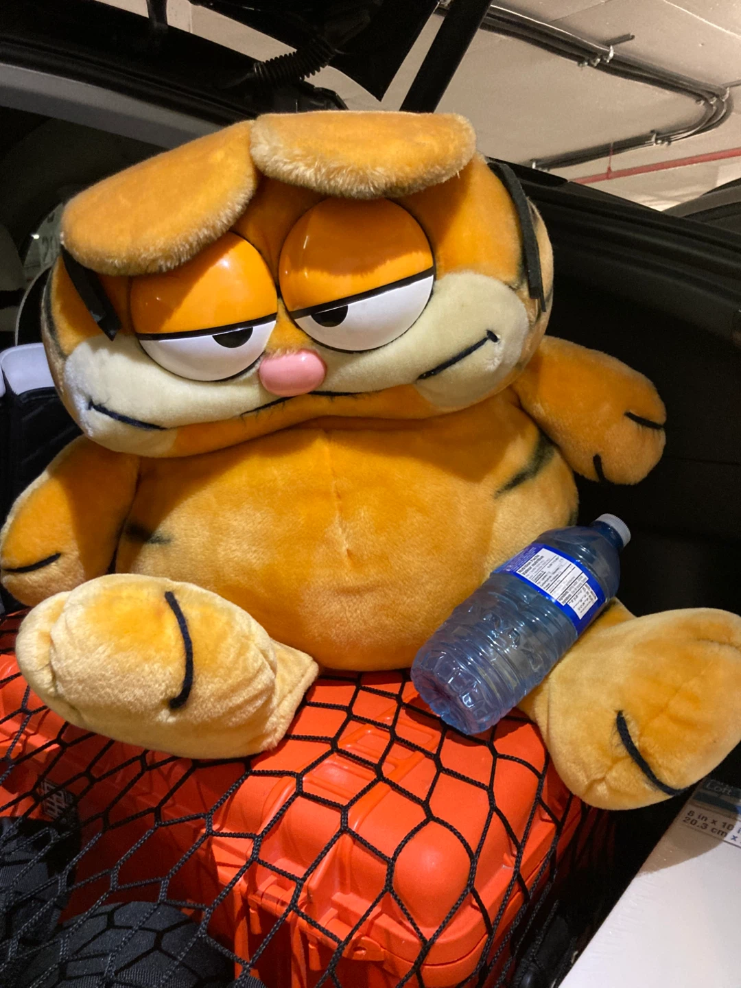 Garfield Plush Toy