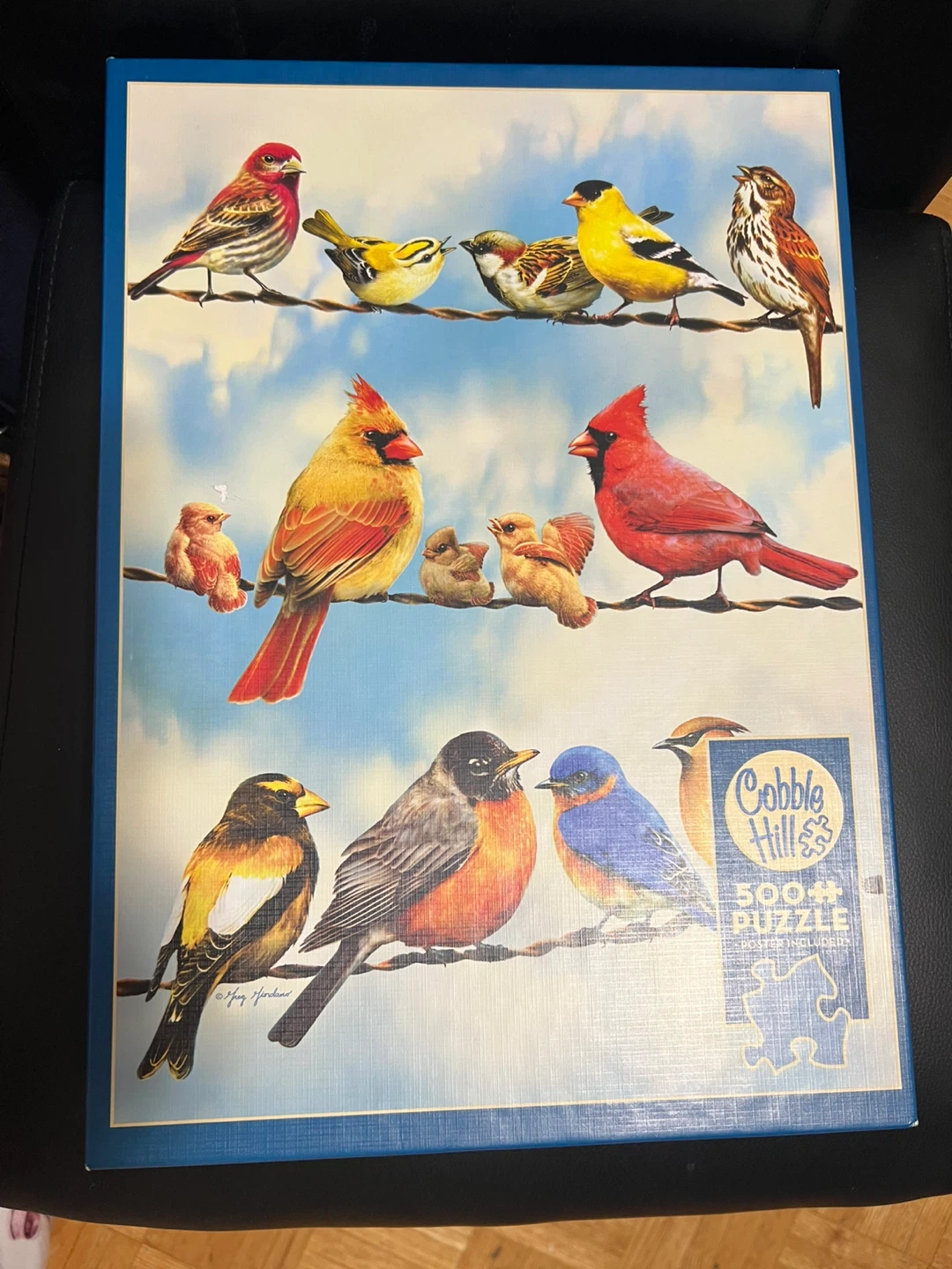 Cobble Hill Birds on a Wire 500 Piece Jigsaw Puzzle