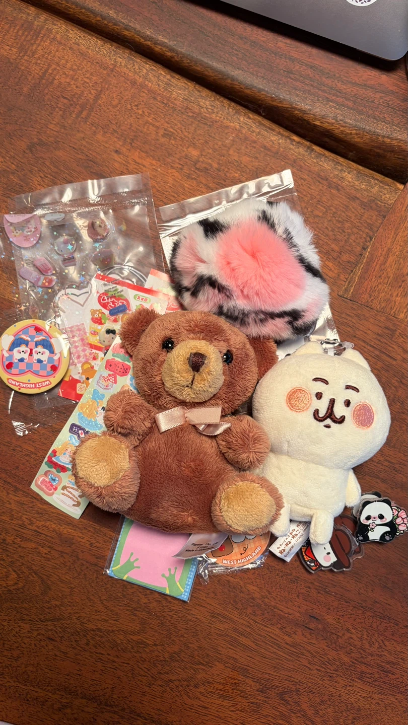 9$ Assorted Kawaii Plushies and Charms Lot