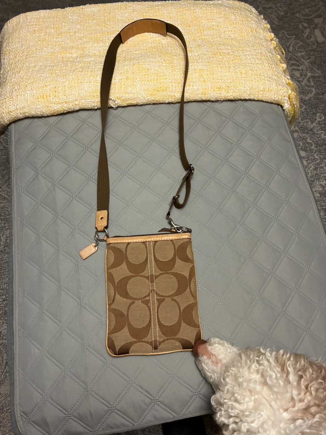 Coach Signature C Crossbody Bag
