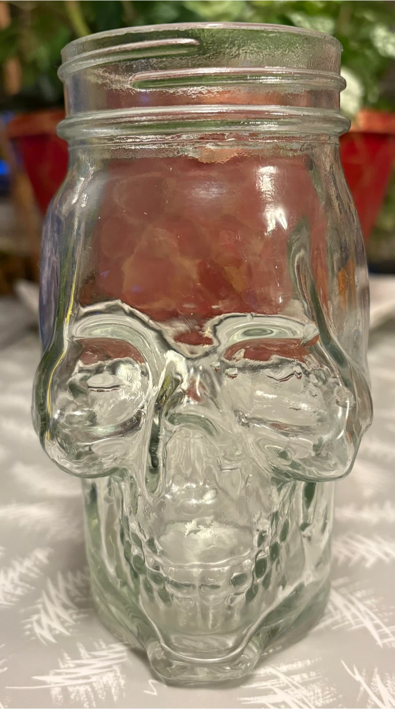 ✨✨8” Glass Skull Jar No Lid