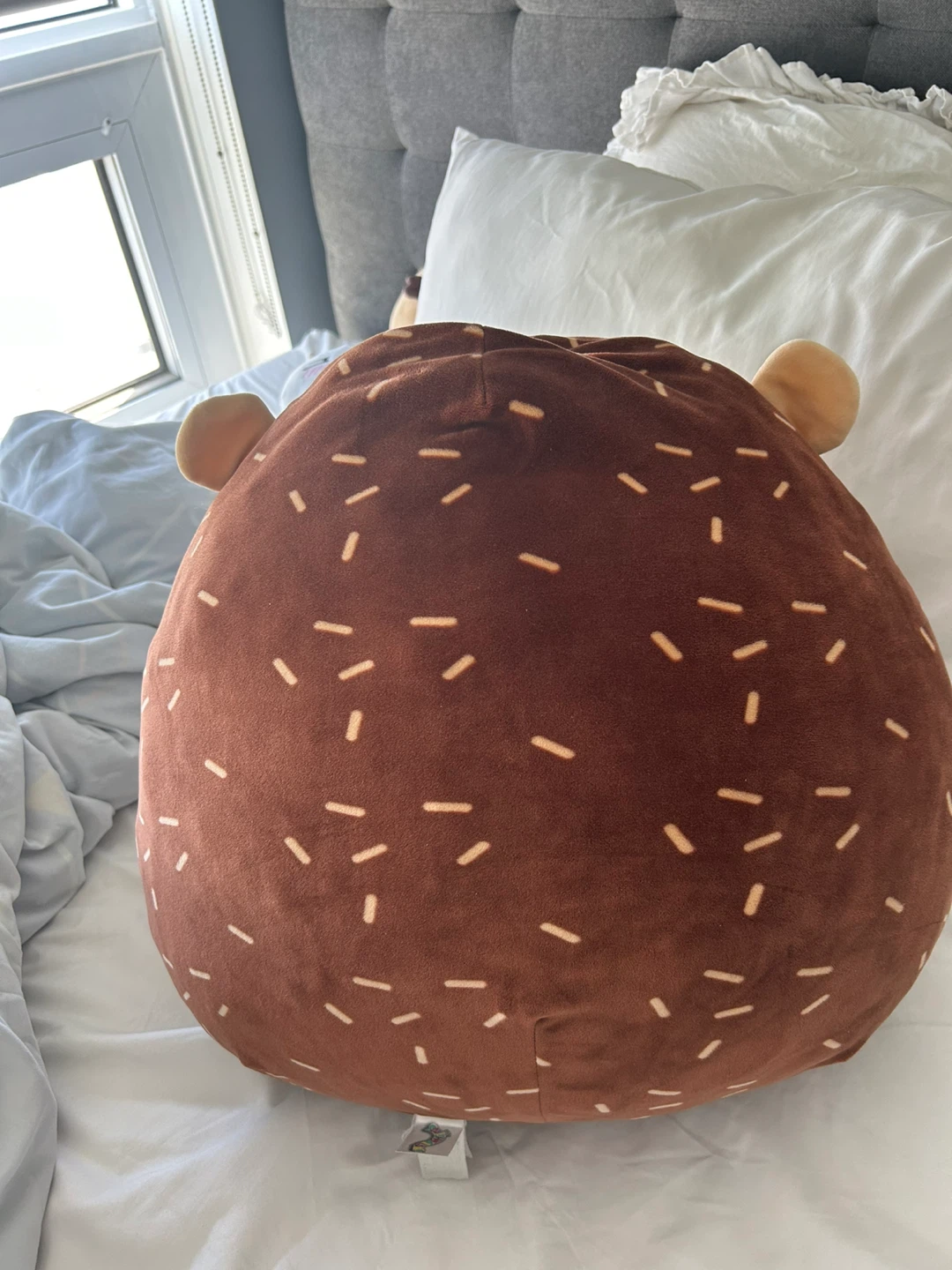 Squishmallow Hedgehog Plush Toy - photo 2