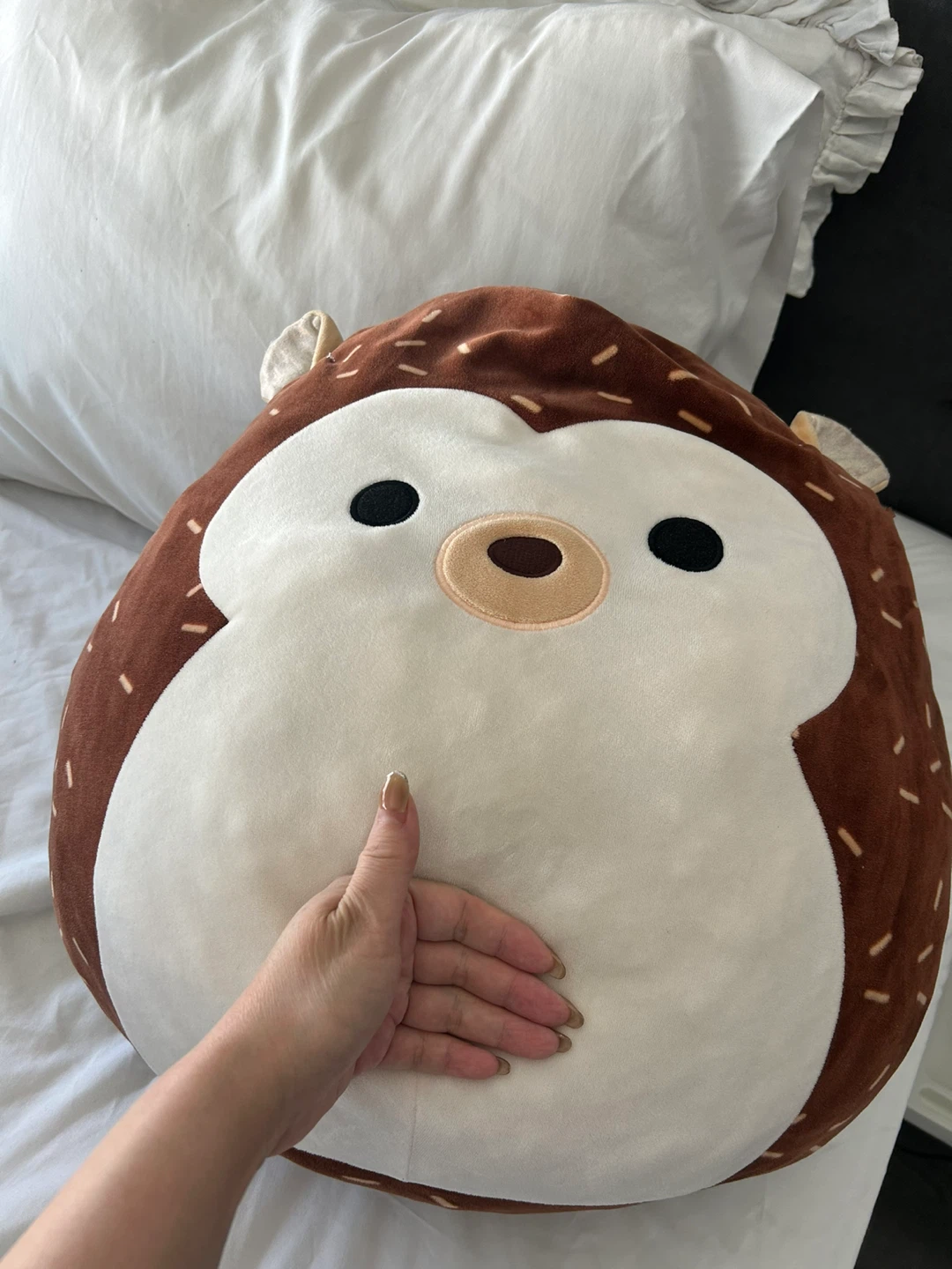 Squishmallow Hedgehog Plush Toy - photo 4